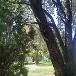 Podere Il Cerrone App Romilda Con Piscina * Fauglia