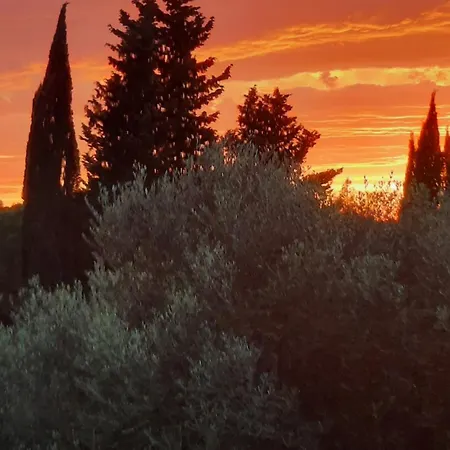 Podere Il Cerrone App Romilda Con Piscina Apartament *