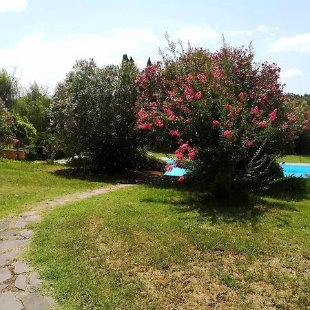 Podere Il Cerrone App Romilda Con Piscina Feriehus Fauglia