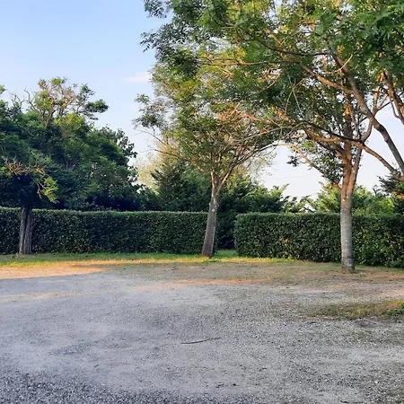 Podere Il Cerrone App Romilda Con Piscina Fauglia