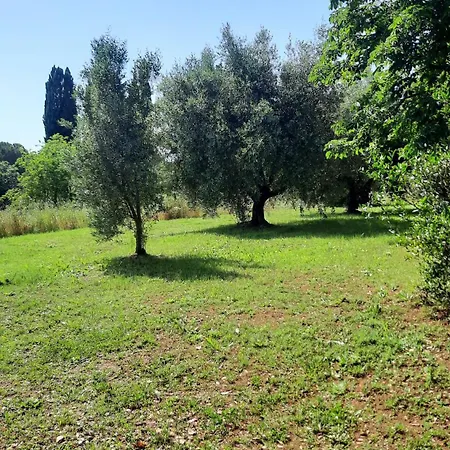 Holiday home Podere Il Cerrone App Romilda Con Piscina
