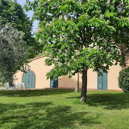Podere Il Cerrone App Romilda Con Piscina