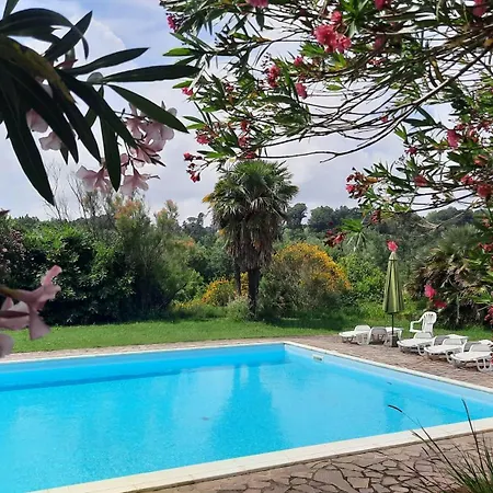 Apartament Podere Il Cerrone App Romilda Con Piscina
