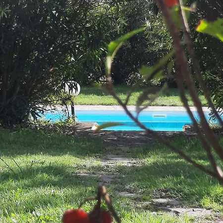 Podere Il Cerrone App Romilda Con Piscina