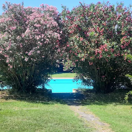 Podere Il Cerrone App Romilda Con Piscina Fauglia