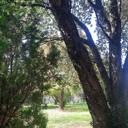 Podere Il Cerrone App Romilda Con Piscina * Fauglia
