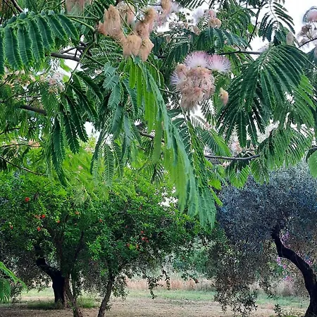 Podere Il Cerrone App Romilda Con Piscina *