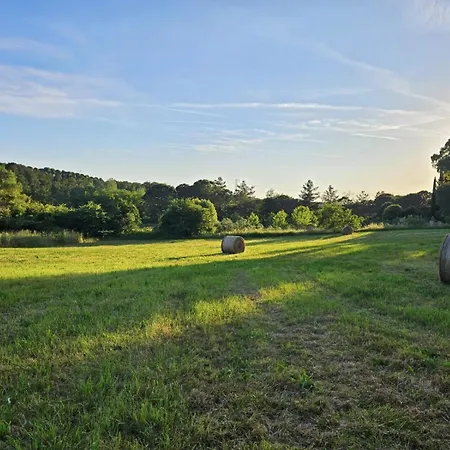 Podere Il Cerrone App Romilda Con Piscina * Fauglia