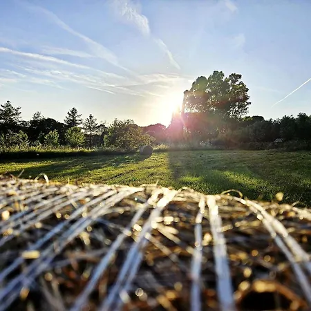 Podere Il Cerrone App Romilda Con Piscina Feriehus *