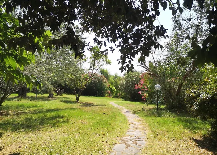 Podere Il Cerrone App Romilda Con Piscina Feriehus