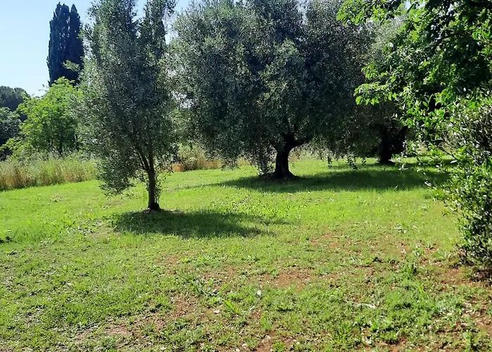 Feriehus Podere Il Cerrone App Romilda Con Piscina