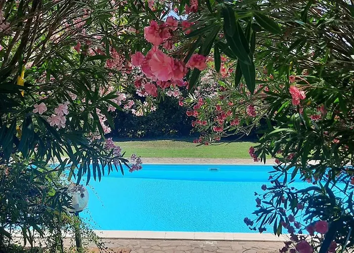 Podere Il Cerrone App Romilda Con Piscina * Fauglia