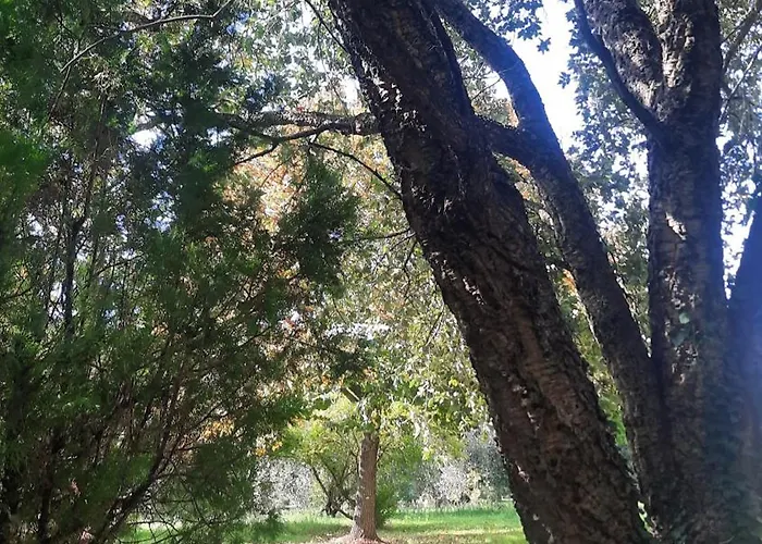 Podere Il Cerrone App Romilda Con Piscina * Fauglia