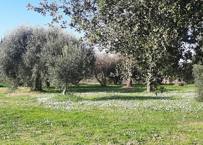 Podere Il Cerrone App Romilda Con Piscina