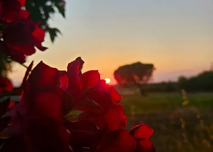Podere Il Cerrone App Romilda Con Piscina Fauglia