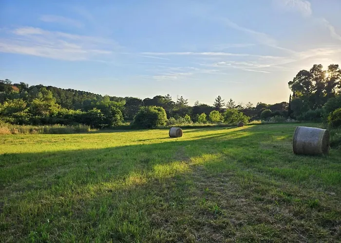 Podere Il Cerrone App Romilda Con Piscina * Fauglia