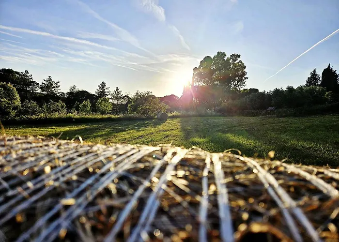 Podere Il Cerrone App Romilda Con Piscina Feriehus *